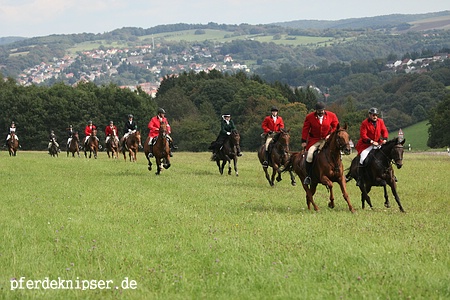 web_jagd_ottw_im_feld_0081.jpg