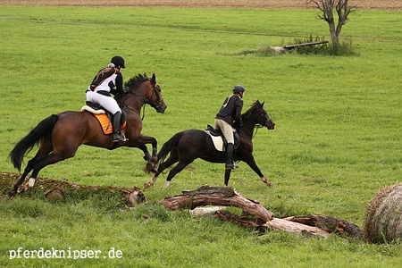 web_jagd_ottw_im_feld_0178.jpg