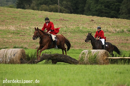 web_jagd_ottw_im_feld_0183.jpg